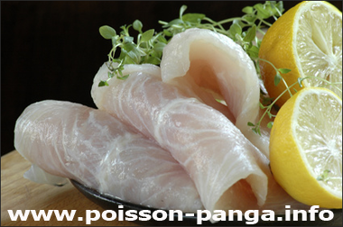 Avis Poisson Panga